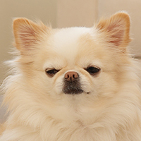 ������ �漮