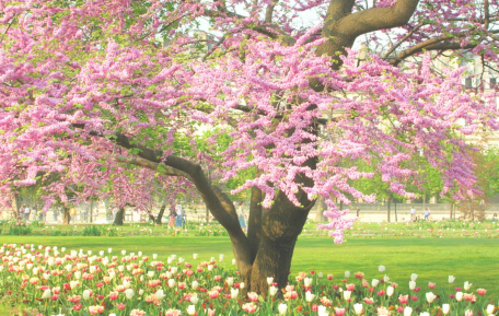 ť���̼� ���