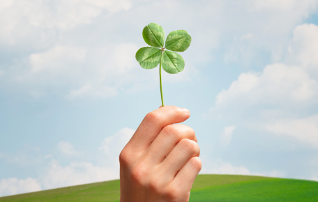 ť���̼� ���